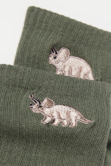 Boys' Cotton Ankle Socks
